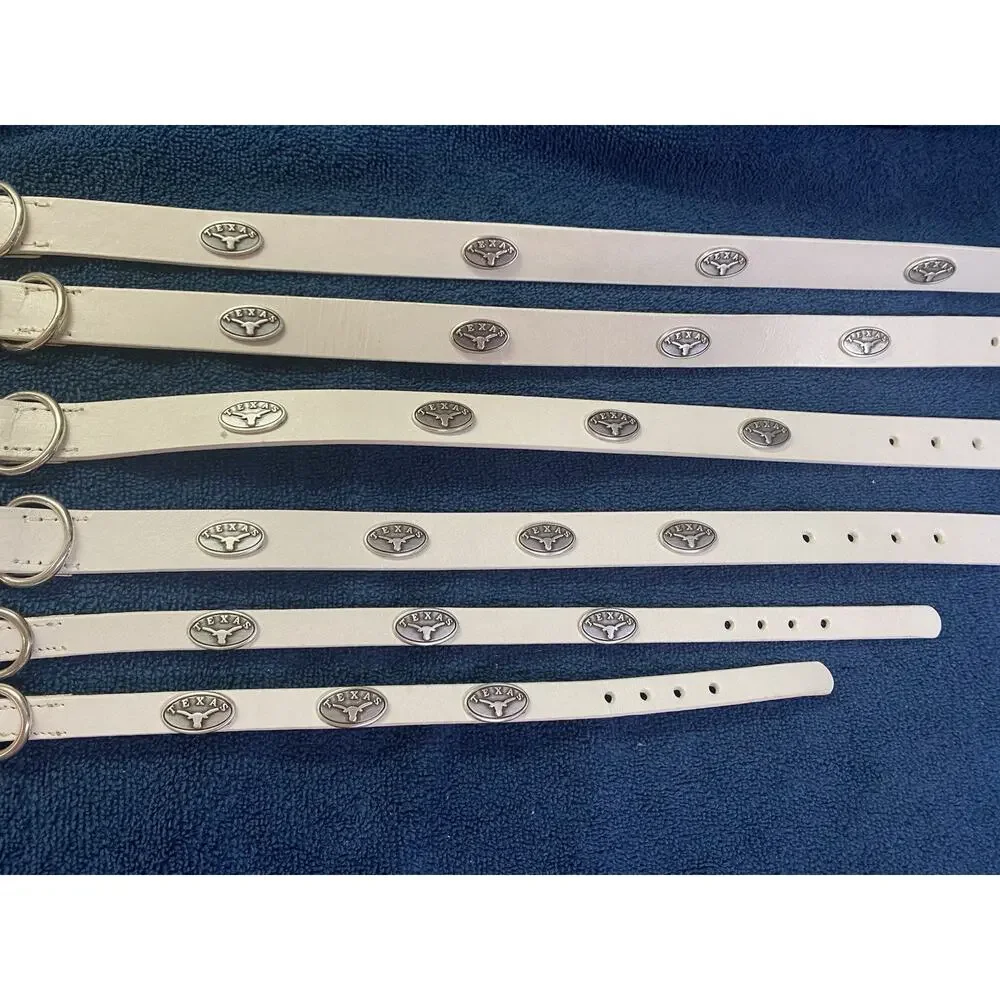 University of Texas Longhorns White Leather Dog Collar With Conchos Many Sizes